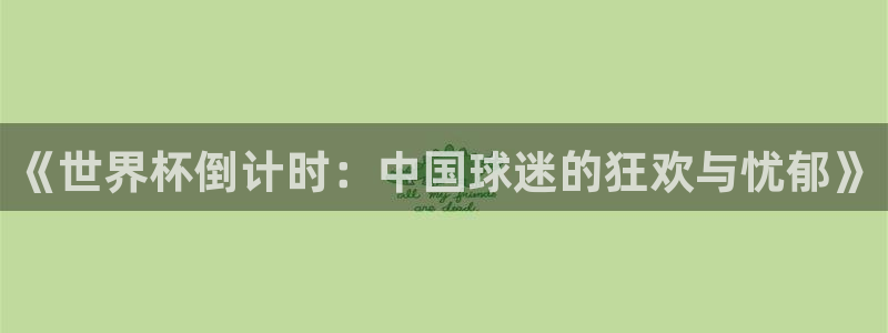 欧洲世预赛赛程表:《世界杯倒计时:中国球迷的狂欢与忧郁》