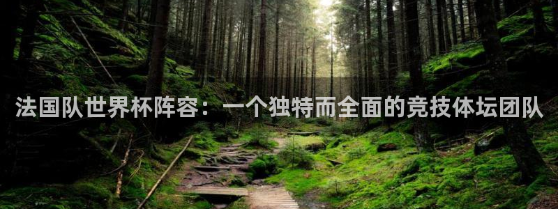 世界杯亚洲预选赛18强赛程：法国队世界杯阵容：一个独特而全面的竞技体坛团队