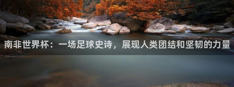 足球世界杯时间:南非世界杯:一场足球史诗,展现人类团结和坚韧的力量