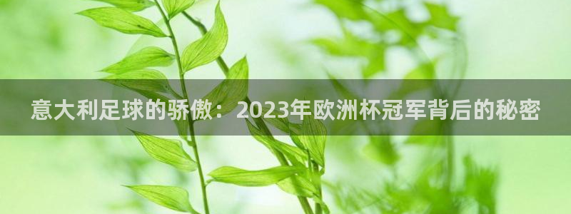 2026年世界杯赛程表时间：意大利足球的骄傲：2023年欧洲杯冠军背后的秘密