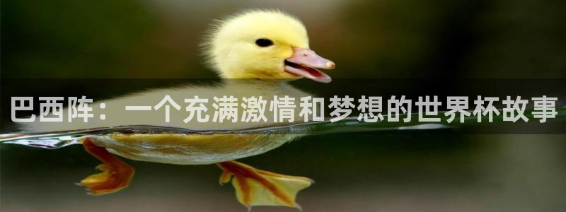 西超杯直播:巴西阵:一个充满激情和梦想的世界杯故事