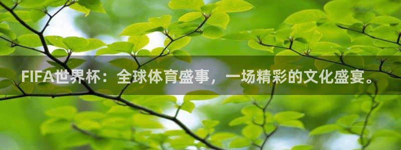 世界杯直播时间:FIFA世界杯:全球体育盛事,一场精彩的文化盛宴。