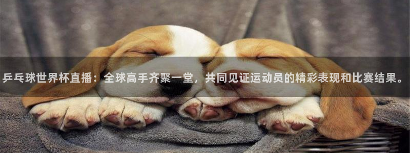 世界杯2026赛制:乒乓球世界杯直播:全球高手齐聚一堂,共同见证运动员的精彩表现和比赛结果。