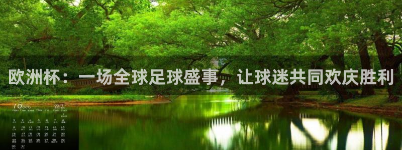 世界杯欧洲区预选赛：欧洲杯：一场全球足球盛事，让球迷共同欢庆胜利
