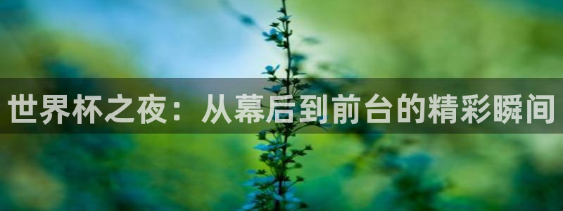 世界杯女足直播：世界杯之夜：从幕后到前台的精彩瞬间