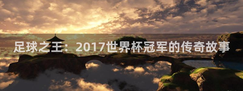 世界杯附加赛赛程表：足球之王：2017世界杯冠军的传奇故事