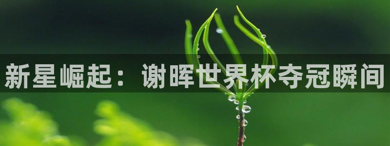 世界杯2026赛程时间表格：新星崛起：谢晖世界杯夺冠瞬间