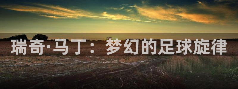 世界杯预选赛亚洲：瑞奇·马丁：梦幻的足球旋律