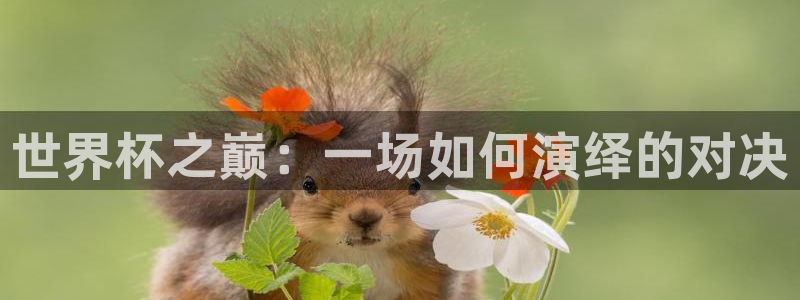 2026世界杯对阵图：世界杯之巅：一场如何演绎的对决