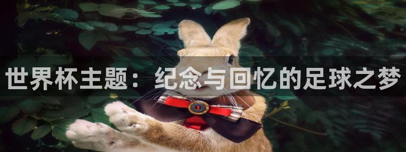 世界杯足球赛2026赛程时间：世界杯主题：纪念与回忆的足球之梦