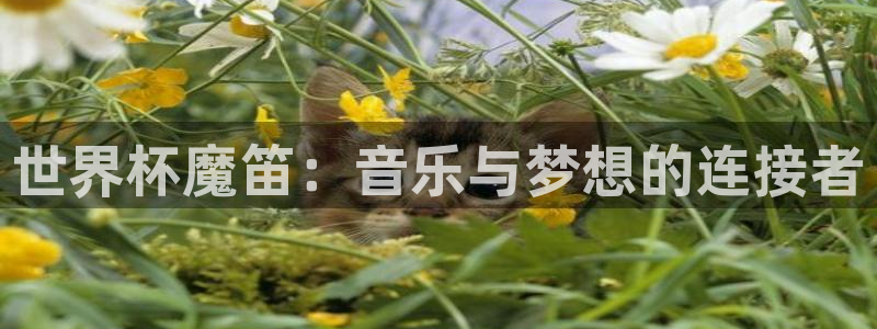 足球世界杯时间：世界杯魔笛：音乐与梦想的连接者