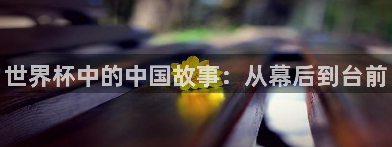 世界杯欧洲预选赛：世界杯中的中国故事：从幕后到台前