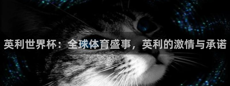 世预赛欧洲赛程表：英利世界杯：全球体育盛事，英利的激情与承诺